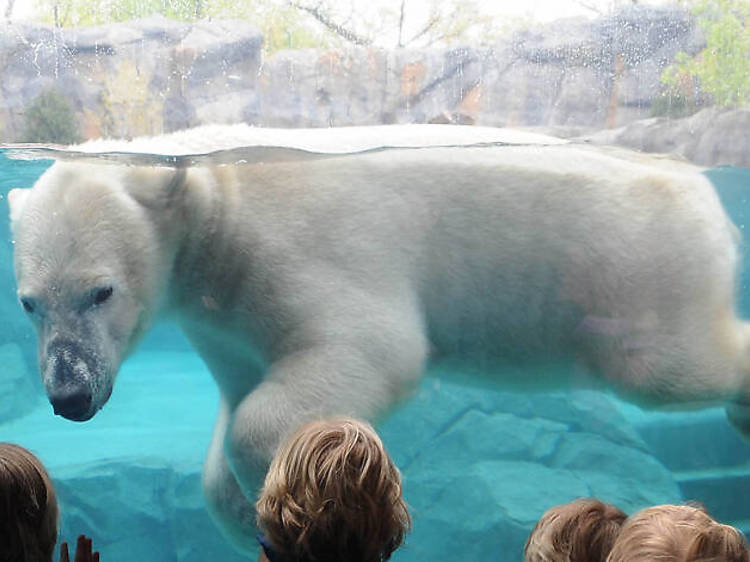 Brookfield Zoo