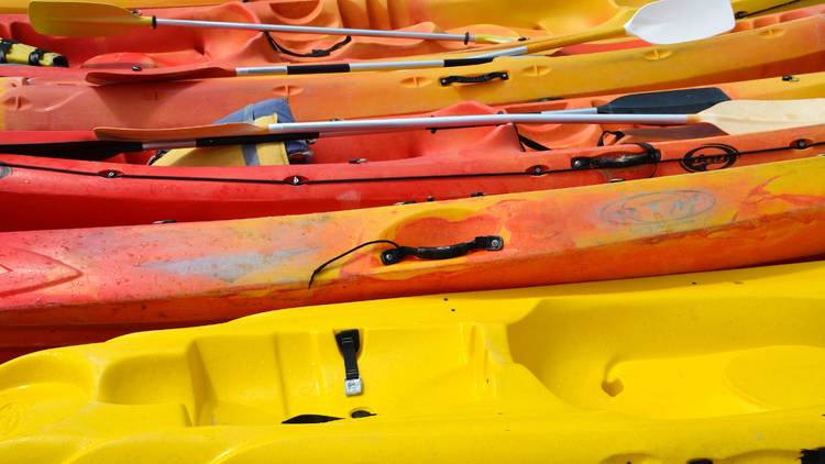 Best Free Kayaking NYC Offers Families Around the City
