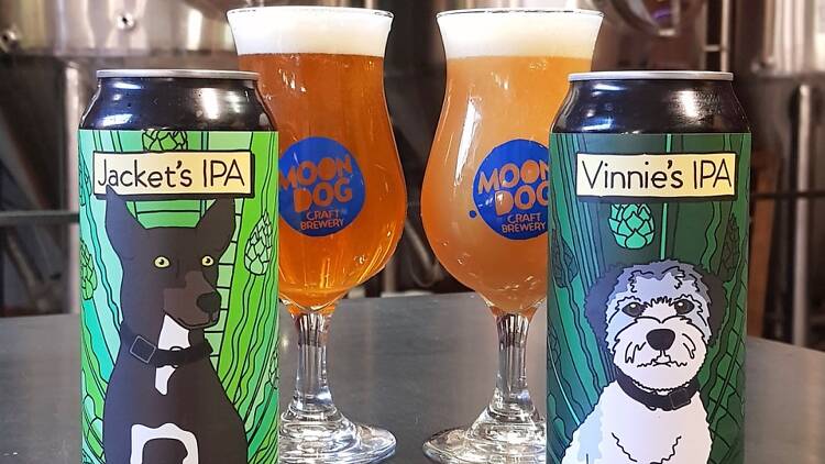 Jacket's IPA and Vinnie's IPA