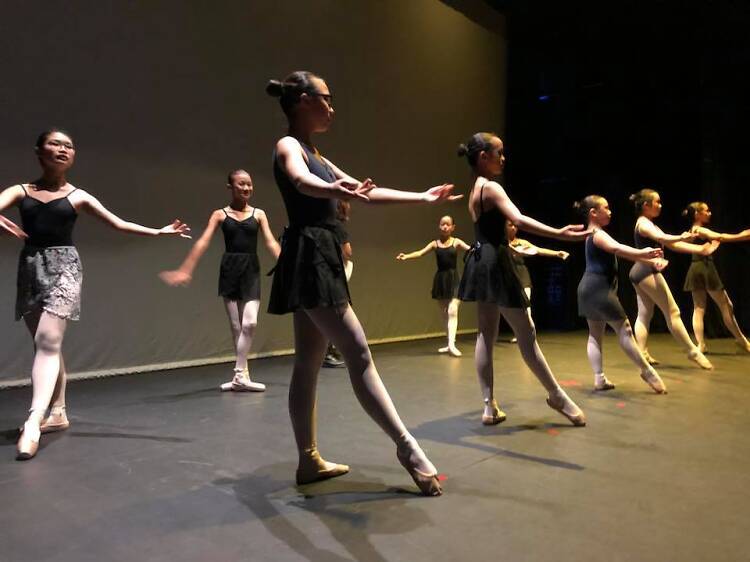 The Ballet Academy