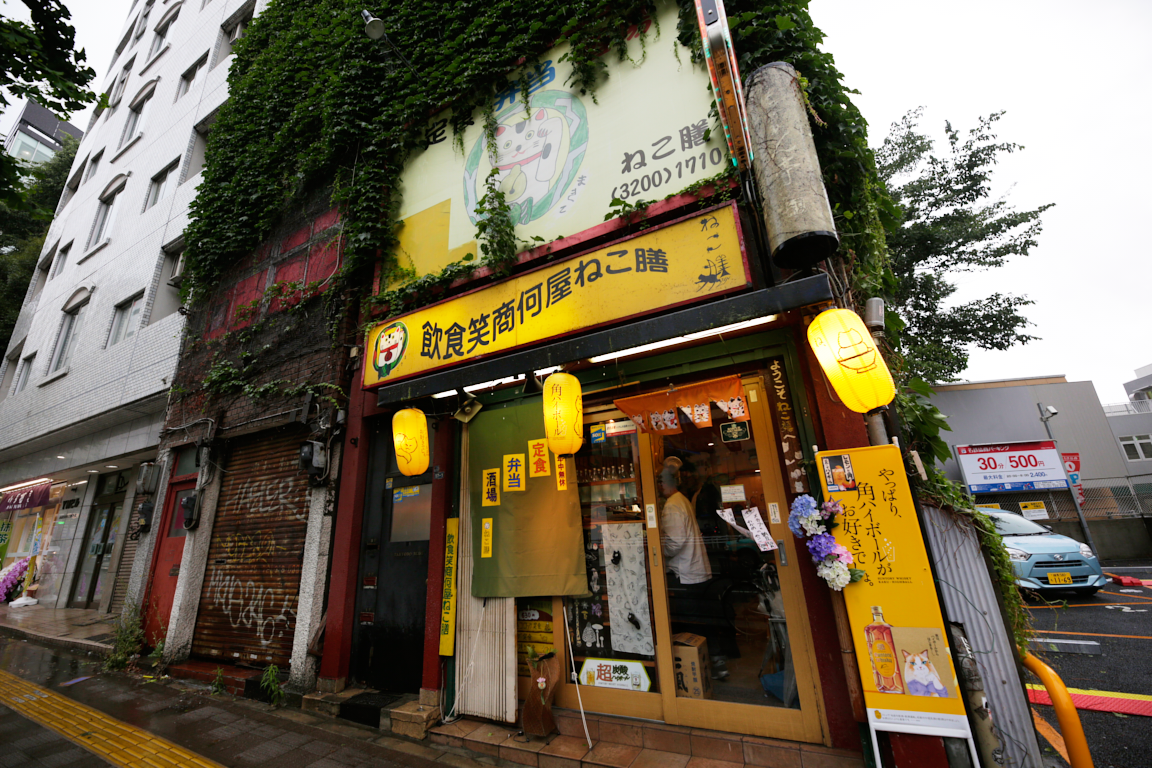 猫好きのための東京ガイド