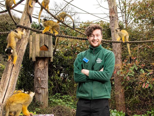 David Waite, primate keeper at London Zoo David Waite, primate keeper at London Zoo
