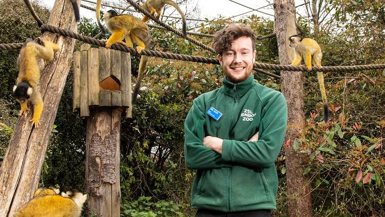 David Waite, primate keeper at London Zoo