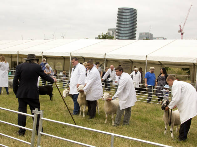 Mudchute Agricultural Show Mudchute Agricultural Show