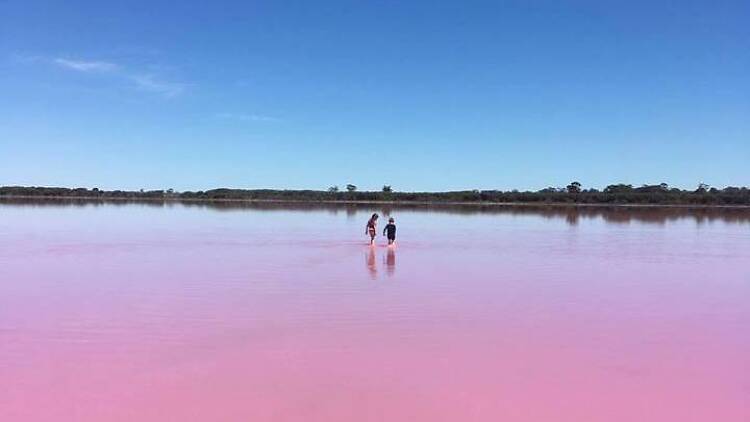 Two children wading out onto a pink lake