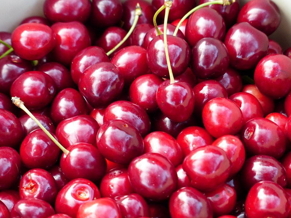 11 Best Cherry Picking NY Offers This Summer