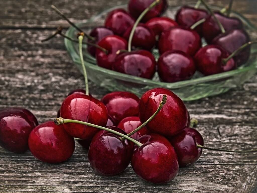 10 Best Farms For Cherry Picking In New York And Nearby