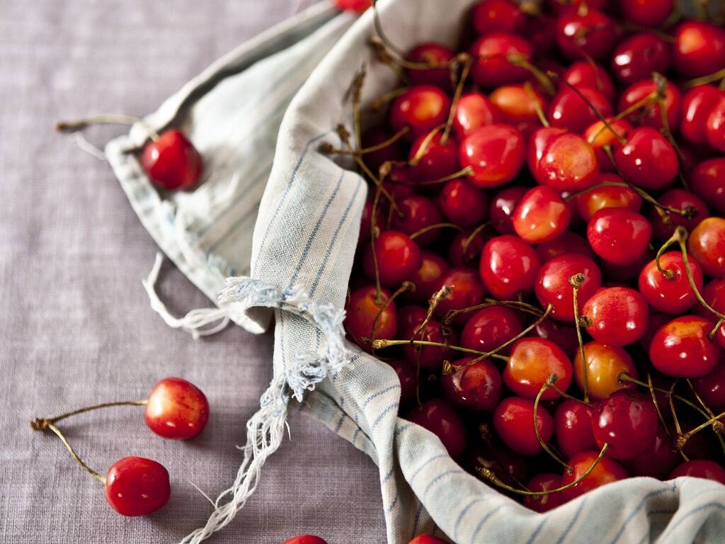 10 Best Farms For Cherry Picking In New York And Nearby