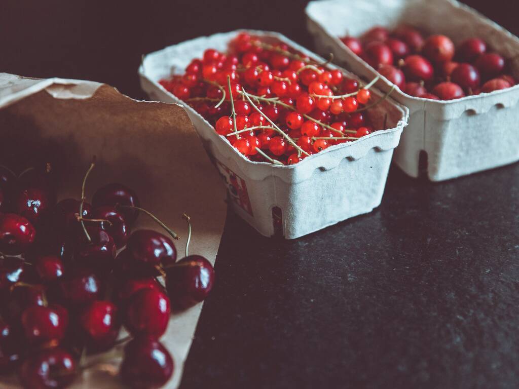 10 Best Farms For Cherry Picking In New York And Nearby