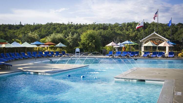 Francis Ford Coppola winery swimming pool 