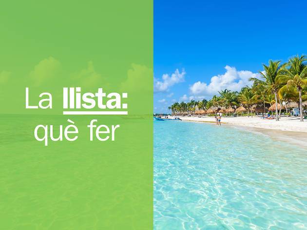 què fer Cancún què fer Cancún