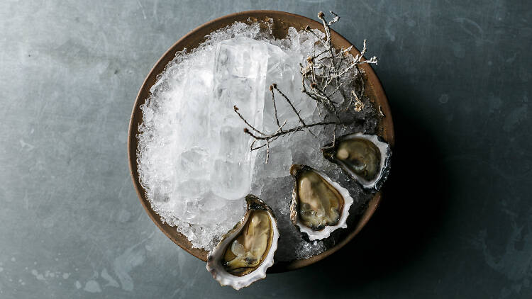 Bowl of three oysters on ice