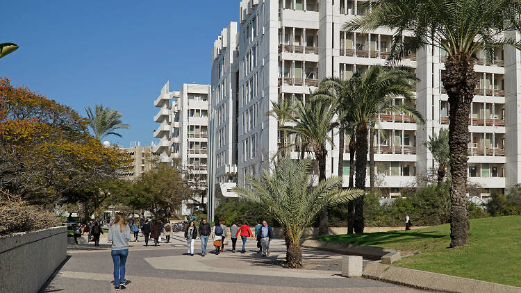 Tel Aviv University Attractions In Tel Aviv Jaffa Israel   Image 