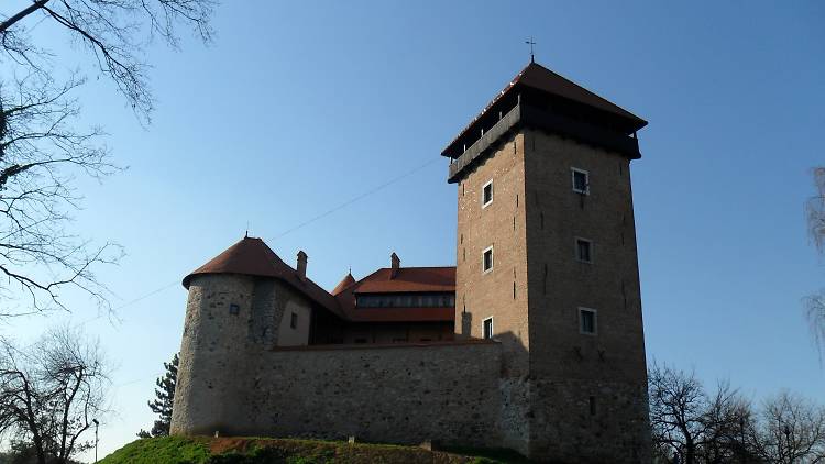 Dubovac castle