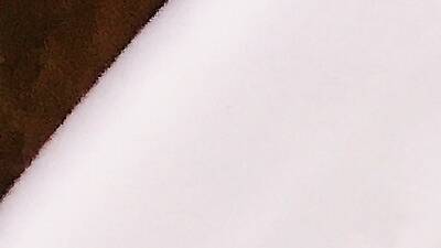 Majordōmo Majordōmo