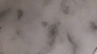 Yours Truly Yours Truly