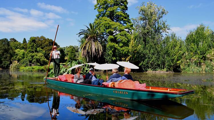 Punting on the Lake Royal Botanic Gardens