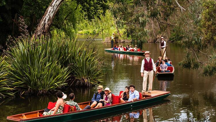 Punting on the Lake Royal Botanic Gardens