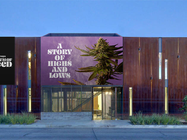 Weedmaps Museum of Weed Weedmaps Museum of Weed