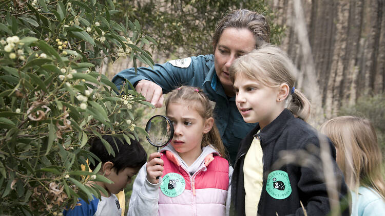 Junior Rangers (Photograph: Supplied)