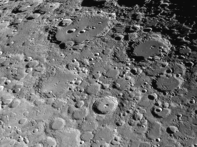 An Evening with the Moon An Evening with the Moon