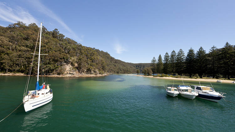 The Basin, Ku-Ring-Gai Chase National Park