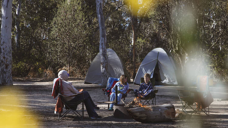 Ganguddy-Dunns Swamp Campground, Wollemi National Park