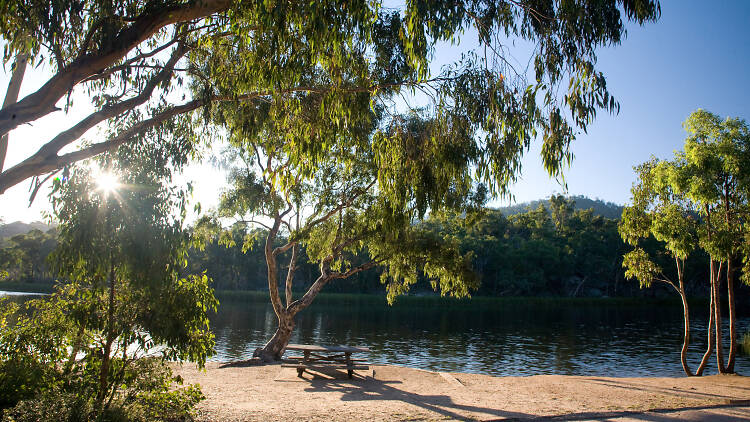 Dunns Swamp camping ground