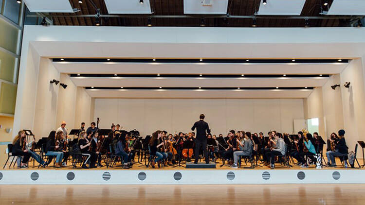 Vermont Youth Orchestra