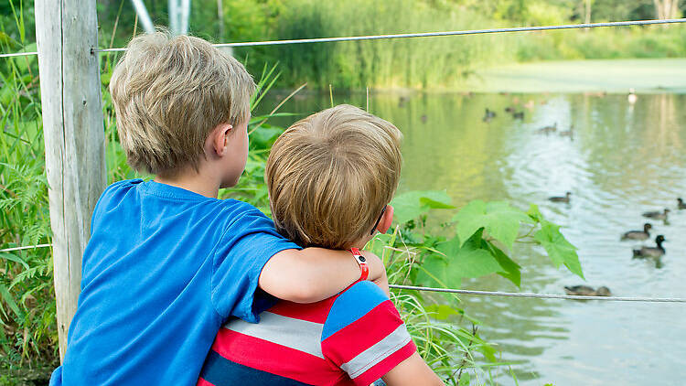 Le Zoo Ecomuseum