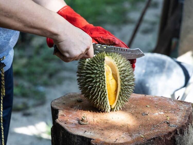 Your ultimate guide to durian season in Singapore