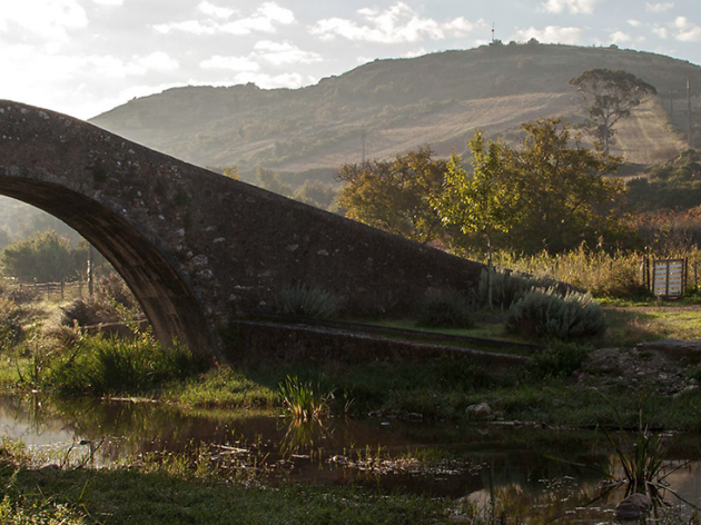 manzwine enoturismo