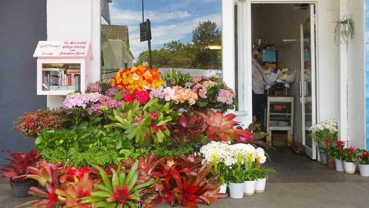 Flowers out the front of Jodie McGregor Flowers in Annandale.