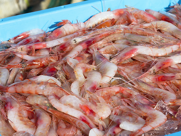 Menú de la Gamba Menú de la Gamba