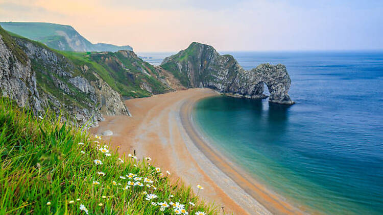 The Dorset and East Devon coast