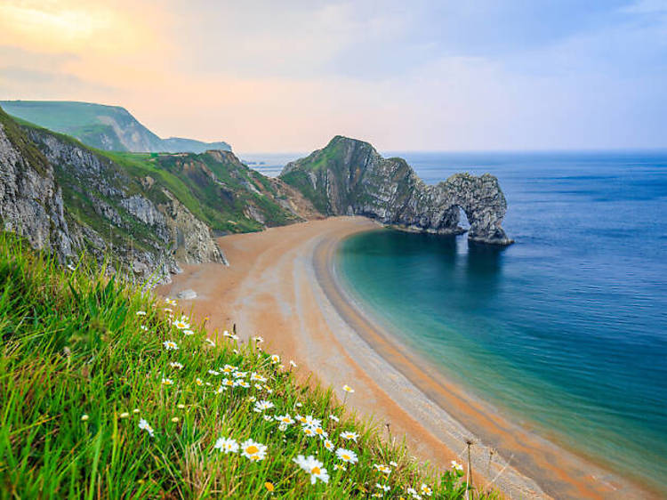 The Dorset and East Devon coast