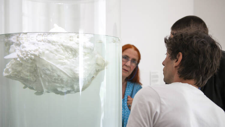 People looking at a white fatberg floating in a tank