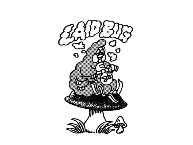 LAID BUG LAID BUG