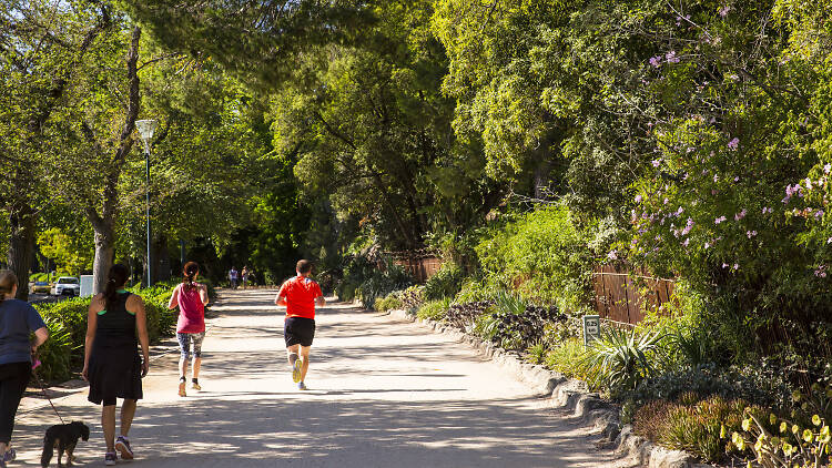 Royal Botanic Gardens, Melbourne