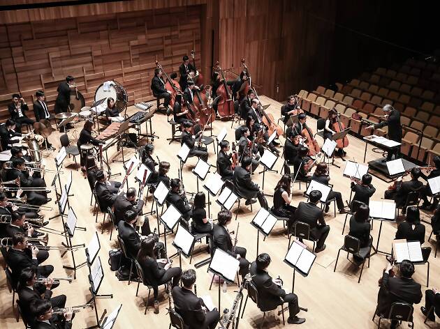 The Philharmonic Orchestra The Philharmonic Orchestra
