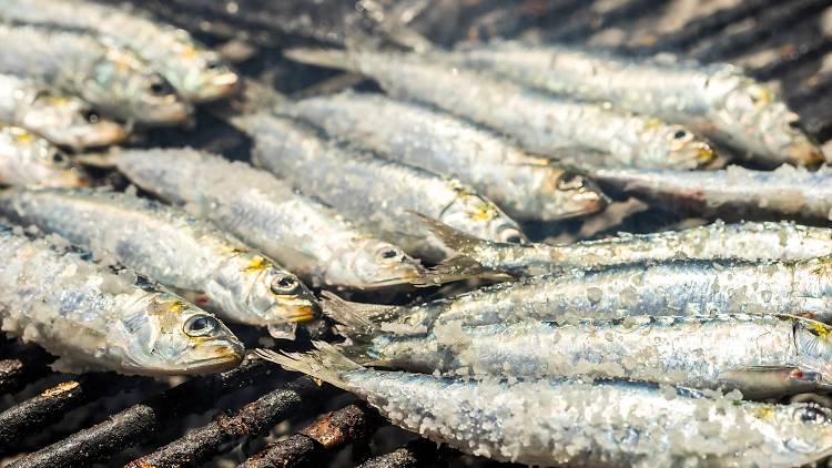 Sample sardines at Konoba Batana