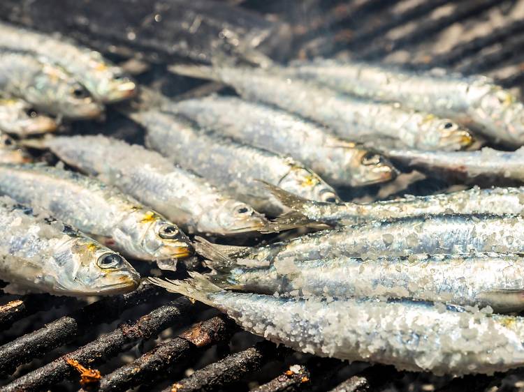 Sample sardines at Konoba Batana