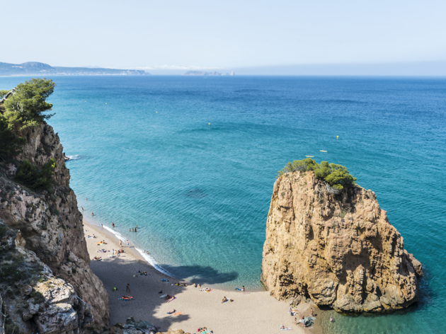 Get Les dites de platja a la fusta Free