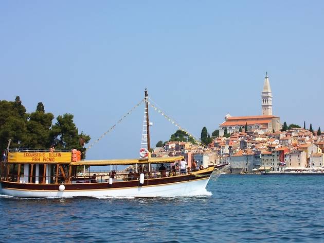 Excursions Delfin Excursions Delfin