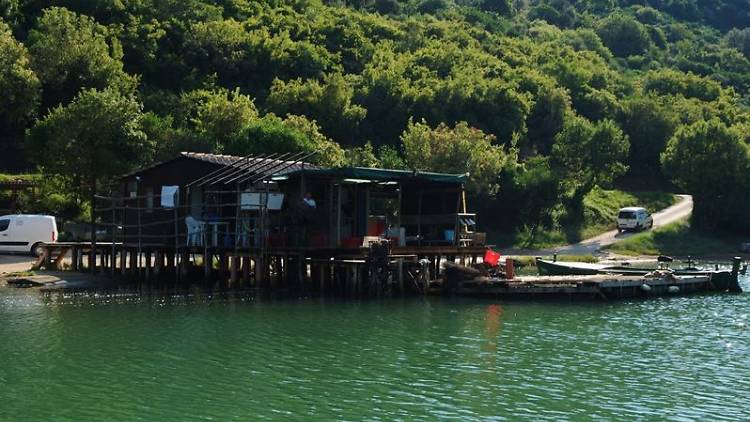 Tony's Oyster Shack