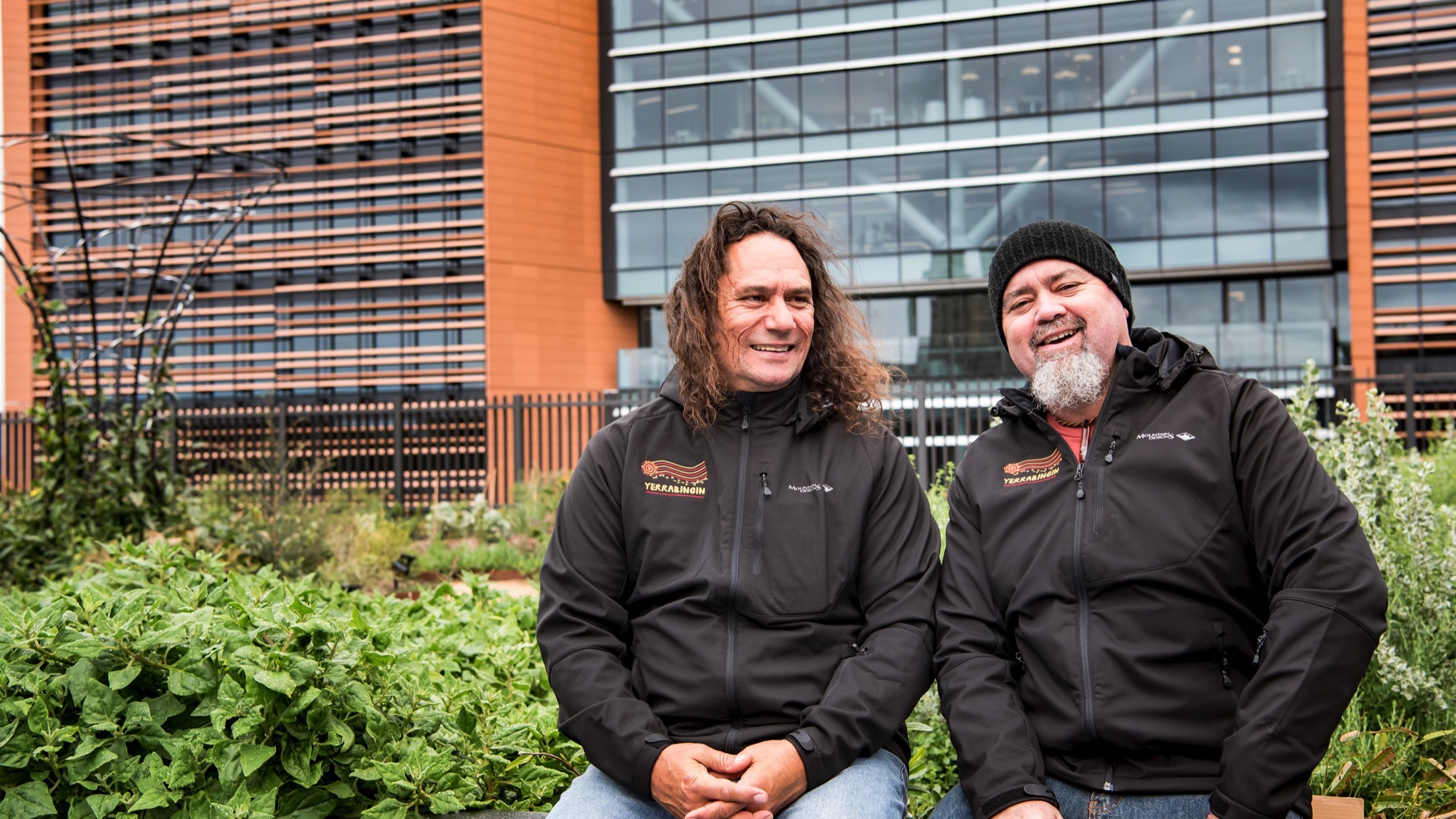 Sydney is home to the first ever Indigenous rooftop garden dedicated to native plants