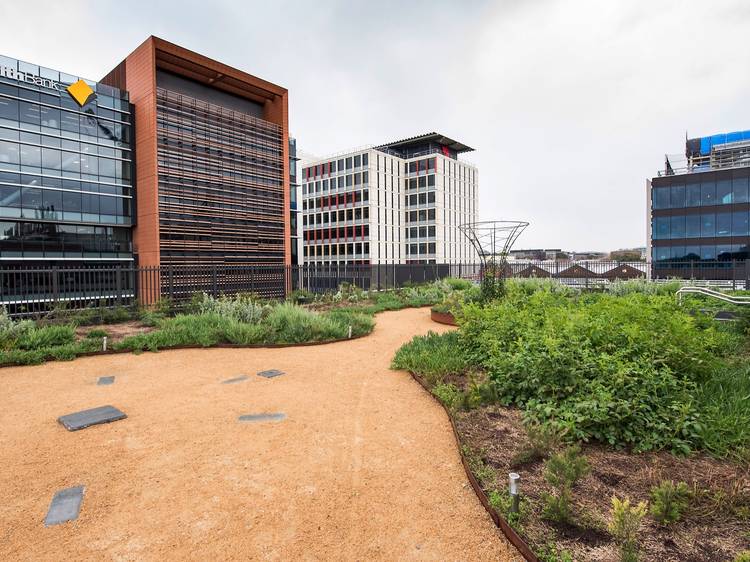 Yerrabingin Rooftop Garden