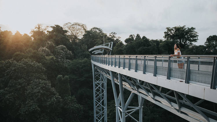 The best outdoor spots in Singapore to admire nature from above