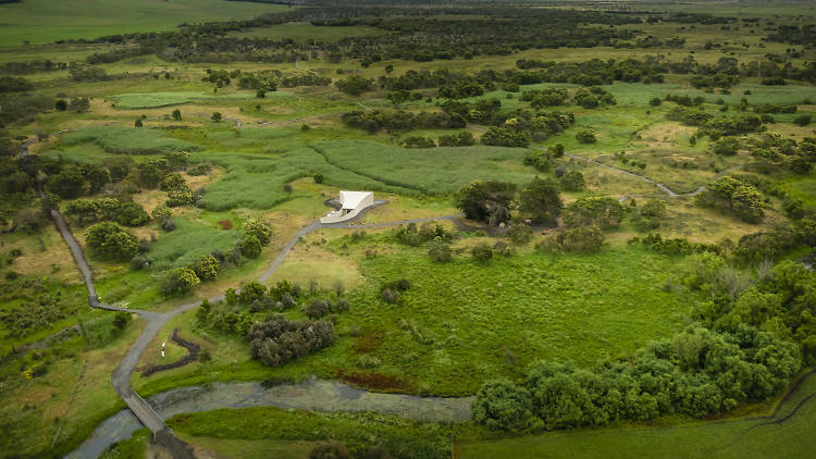 Drone shot of green landscape of Budj Bim