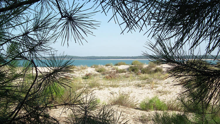 Gatseau (Isla de Oléron)